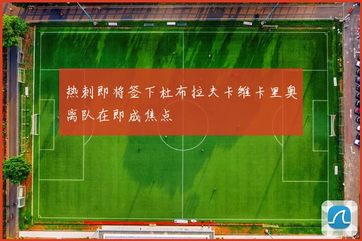 热刺即将签下杜布拉夫卡维卡里奥离队在即成焦点